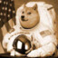 Shiba Astronaut