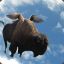 The Flying Buffalo