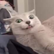 timeskipper