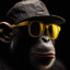 Mc Monkey