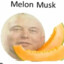 Melon Musk