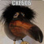 skebob)