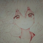 发发发就很奈斯