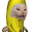 banana kotek