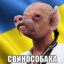ЛАСТХИТ ПО КИЕВУ