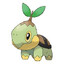 Turt