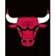 _BULLS_ZLOOO_
