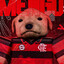 Cachorrao