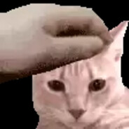 Serpi avatar