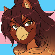 Player Avatar