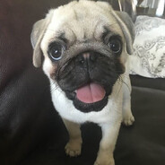 1 | ненависть