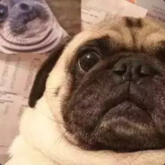 快跑，你柜子动了