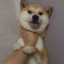郭子杉
