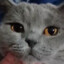 Meliska_37