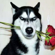 无产阶级老司机