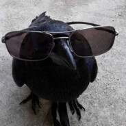 DizzlaiN - steam id 76561199799906577