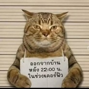 你所热爱的，就是你的生活