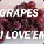 FPN | GrapeS