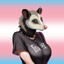 Busty Possum
