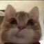 КОТЯРА-ВОДЯРА's avatar