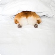 我的智商开外挂