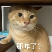 每天一针群勃龙