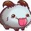 Sr.Poro