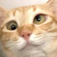 我嘞个歪不歪啊