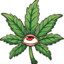 SacaLaMotaPuta