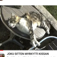 JOKU SITTEN MYRKYTTI KISSAN