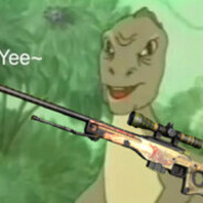 11岁国服天才狙击手