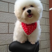 外日特嘚自己人别开枪