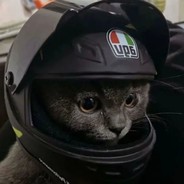 我和神明画了押