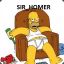 SIR_Homer