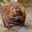 TheManOfBeaver