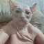 JoaX