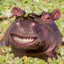 Hippotopamus