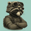 Raccoon