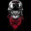 Rocknrolla