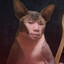 Мультипультер