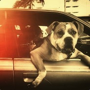 Она тебе не Dust