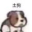 狗贼肚肚