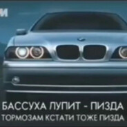 антон гашишевич