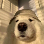 ゞ灬齊遹 ぐ九歌