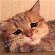 I want three naked men