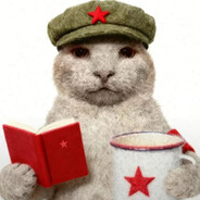 金州勇士队斯蒂芬库里