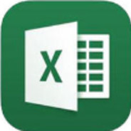 Excel.exe