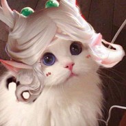 要么我死要么你活