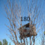 180 treehouse