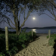 basaltic theraphosidae